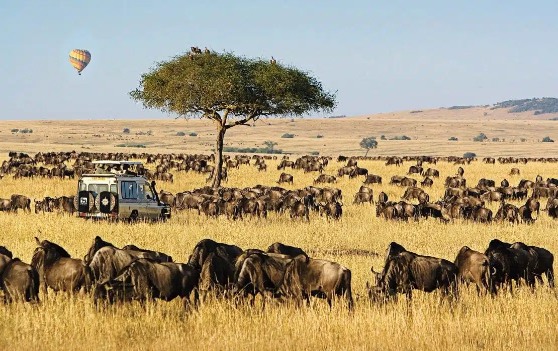 maasai-mara-1110x700