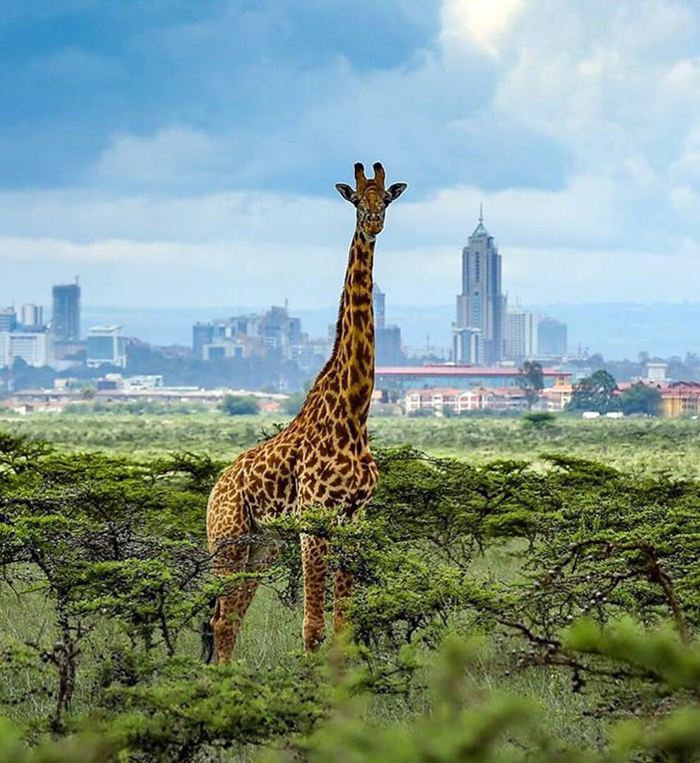 nairobi